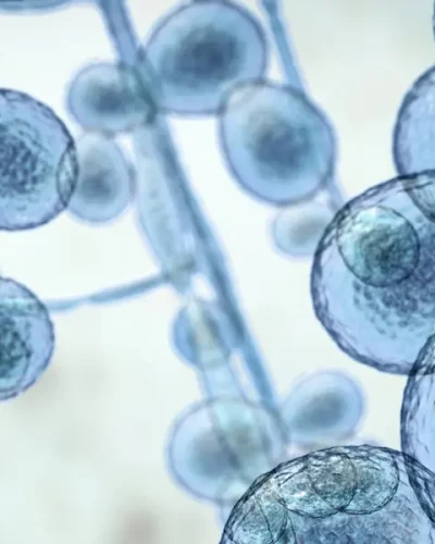 life-sciences_752x752